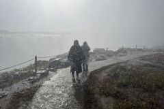 IMG_4585